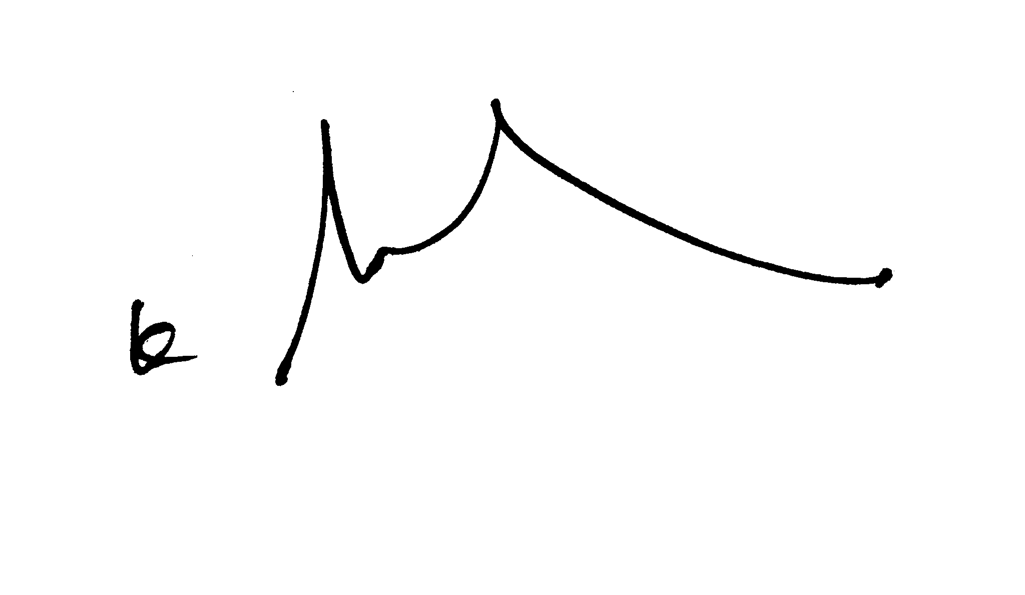 General Secretary Signature